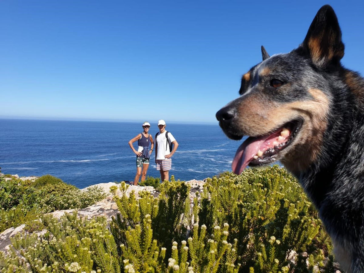 The story behind the Salt Doggo