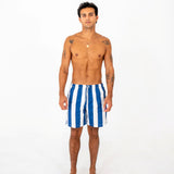 Mens Stripe Board Short