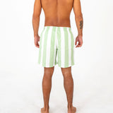 Mens Stripe Board Short