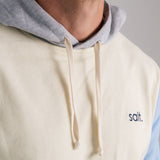 Mens Colour Block Hoodie