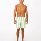 Mens Stripe Board Short